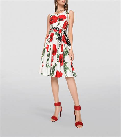 dolce gabbana cocktail print dress|Dolce & Gabbana dresses online shopping.